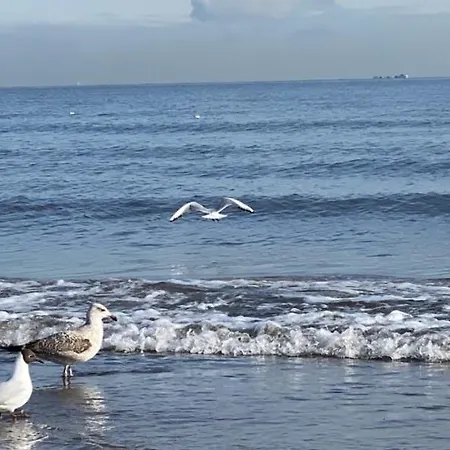 Oliwia Ii * Sopot
